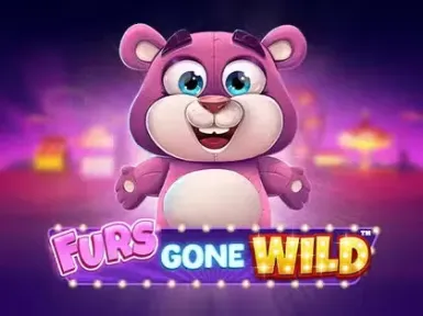 Xon Bet Casino screenshot